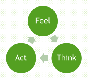 The Feel - Think - Act module